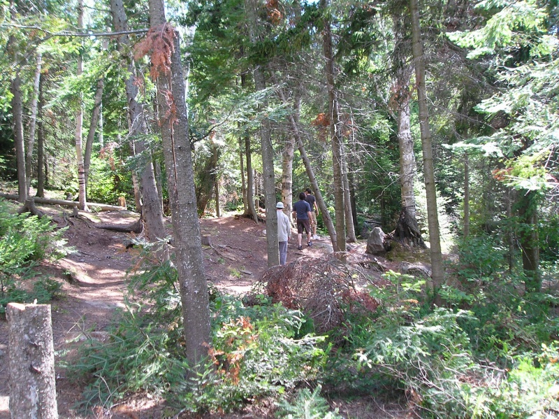 File:Our Opeongo island 06.jpg