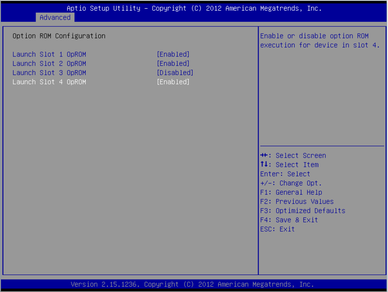 File:Fujitsu BIOS Option-ROM Enable-Slots.png