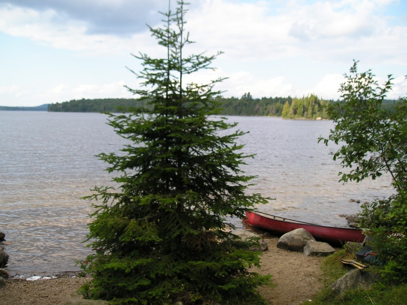 File:Our Opeongo island 01.jpg